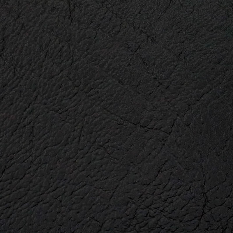 01B01760-Negro
