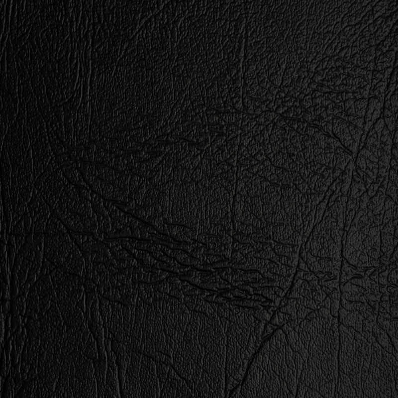 01O03760-Negro