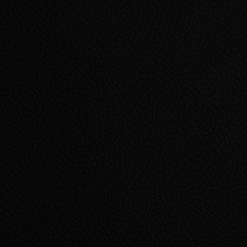 01R06760-Negro