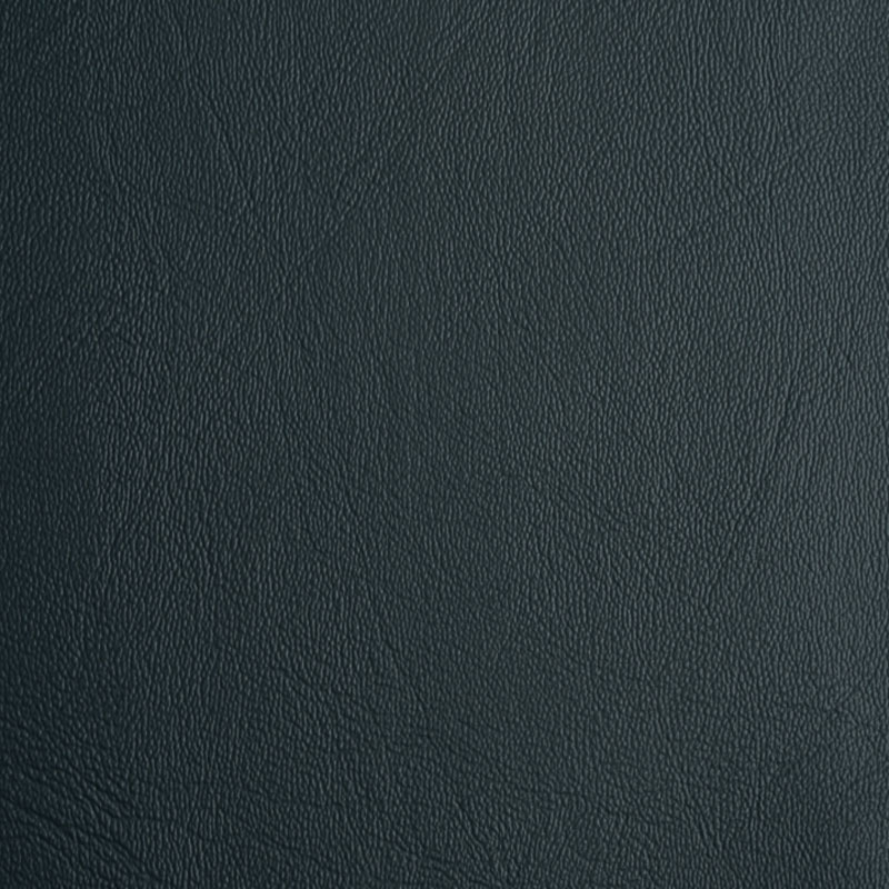 01V04480-Gris
