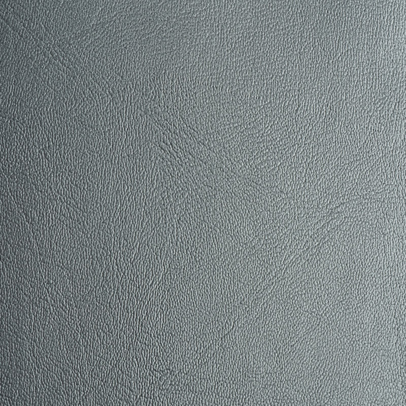01V04830-Plata